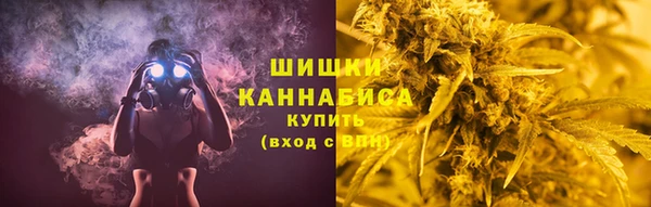 прущие грибы Белокуриха