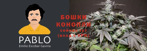 гашик Богданович