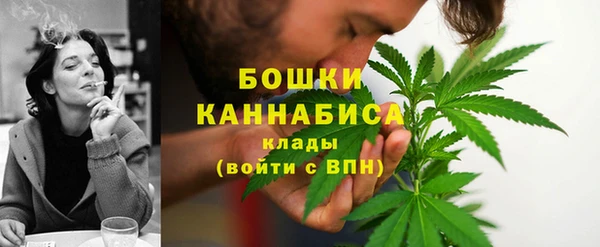 прущие грибы Белокуриха