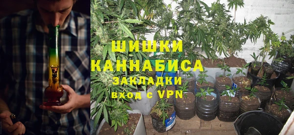 гашик Богданович