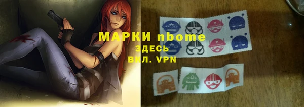 прущие грибы Белокуриха