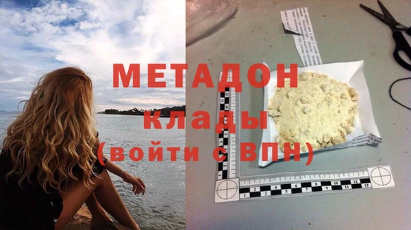 прущие грибы Белокуриха