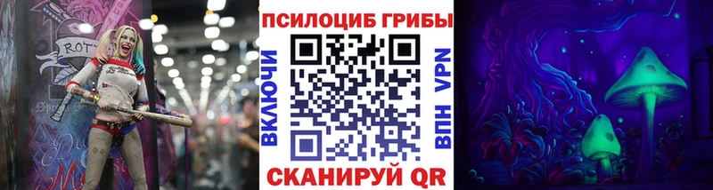 Псилоцибиновые грибы Psilocybine cubensis Великие Луки