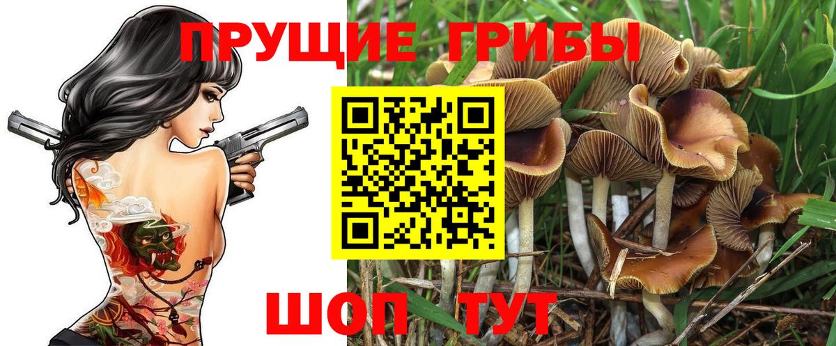 Великие Луки  дарнет шоп  Вход с VPN  Псилоцибиновые грибы MAGIC MUSHROOMS  Псилоцибиновые грибы ЛСД 