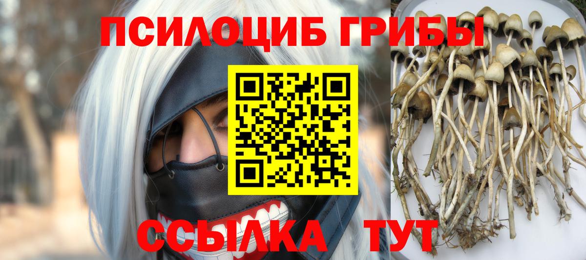 Псилоцибиновые грибы Magic Shrooms Великие Луки